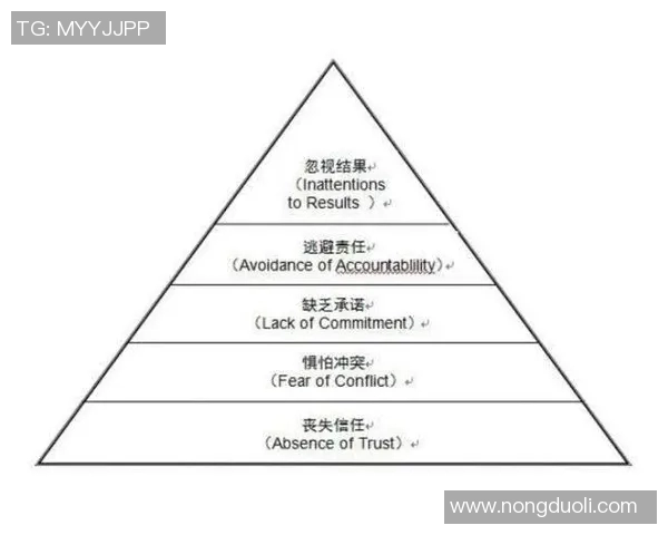成都足球队在精英赛中的团队协作表现分析与点评
