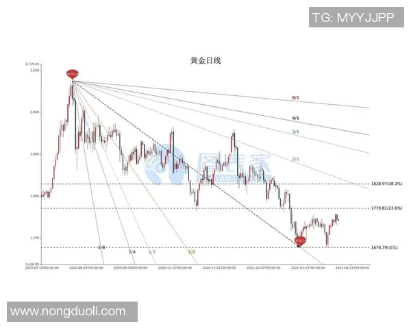 广州羽毛球队的盯防策略揭秘与深度分析探讨