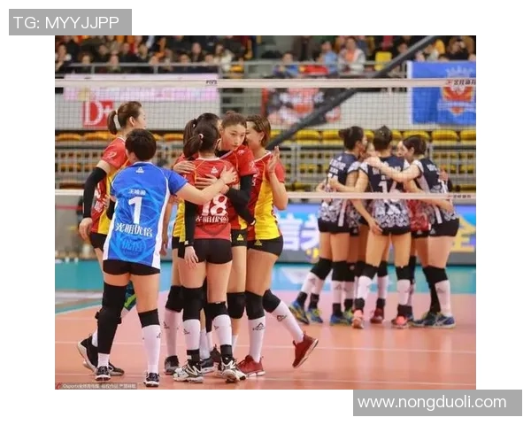 杭州排球队在城市联赛中的状态分析与表现点评