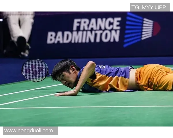 武汉羽毛球队在世锦赛中的战术分析与表现评估 武汉羽毛球队在世锦赛中的战术分析与表现评估